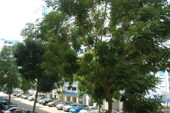 MARSILING RISE thumbnail photo